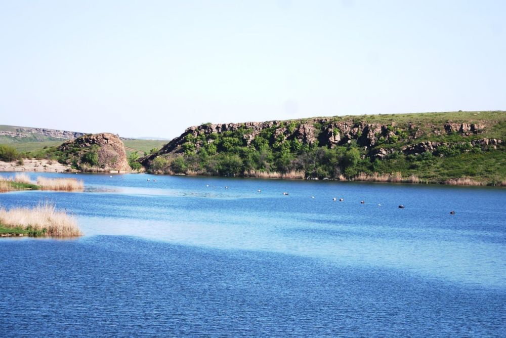 �� ���������� ������������� � ��� ���������� ����������� ������������ ����� 1862 ����� ���������� �������� � ������� ����� 2634 ����� ��������, �������� � ���������� ���