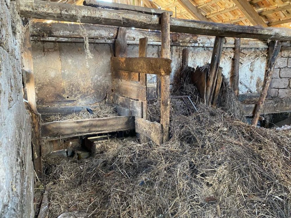 � ��������-��������� ������ ���������� ����������, �������� � ����������