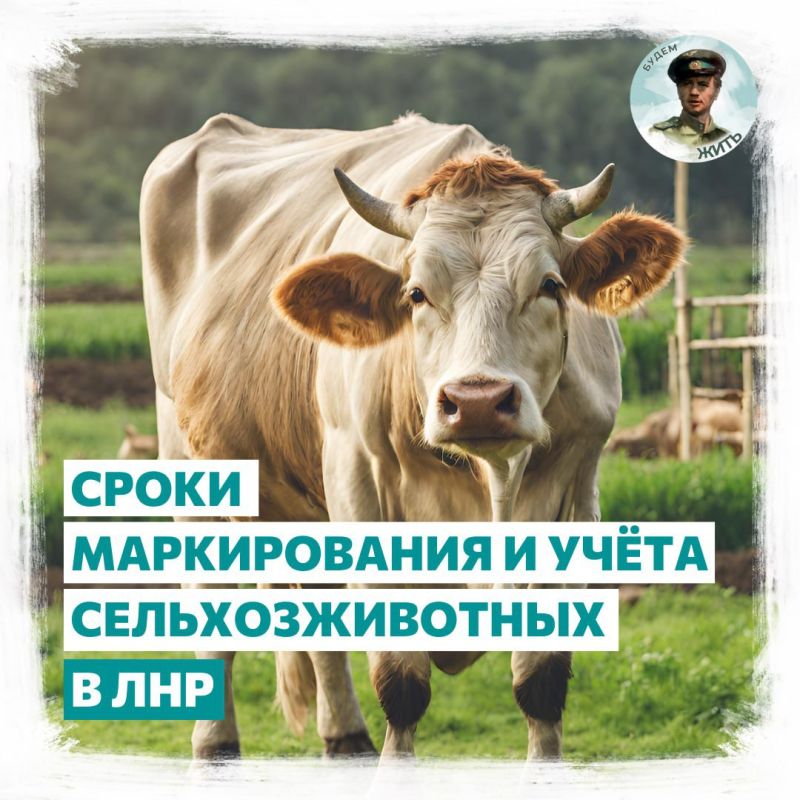 � 1 ����� 2024 ���� � ��� ����� �������������� ���� ���������� �������������������� ��������