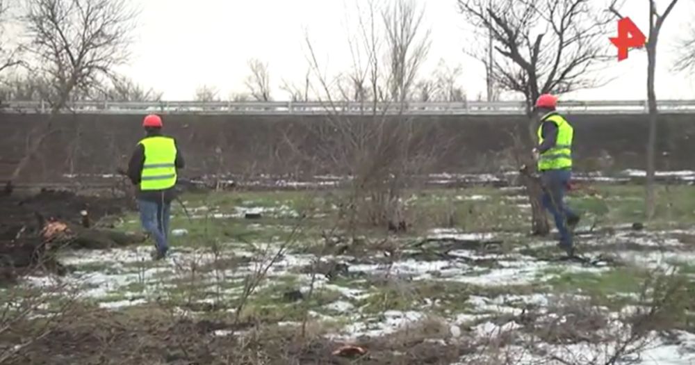 ����� ������������ ���� �������� � �������� � 2025 ����