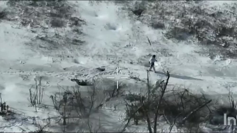 ��������������� ���� �������� ���� �����