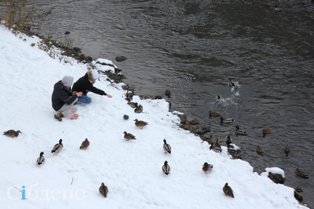 ���������� �� ���������� ������� ��� ������� ������� � ����� "����� �����", � ������ ������� � ���������� ����� ����������� ���������� �� ������� ������������� �����