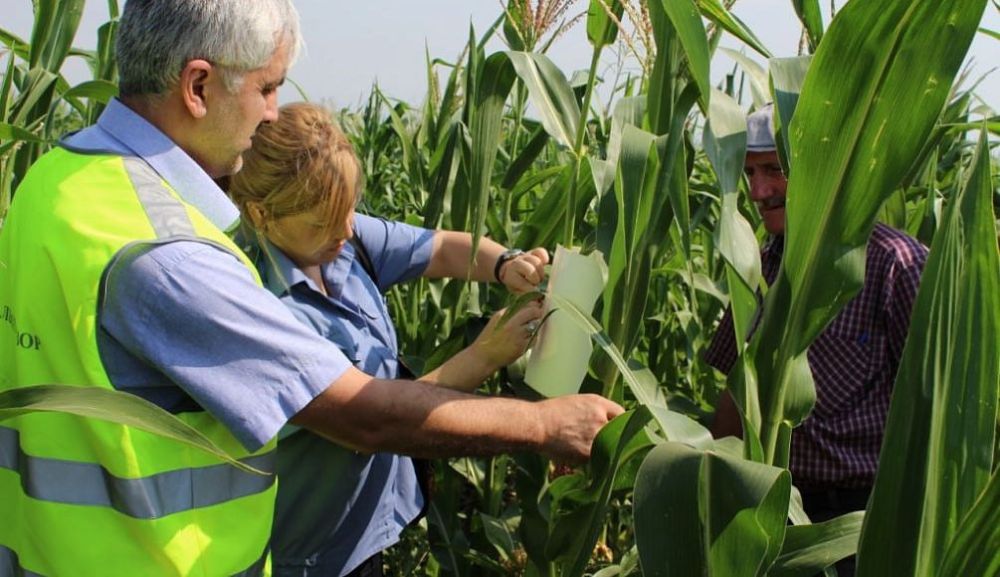 ��������. ���������� ����������� ������ �� ������������� � ��������������� ������� �� ��������� �������� ���������� ������������ ������ � ���������� �������� ����� ������������� �. �������, ��. ���������, 51