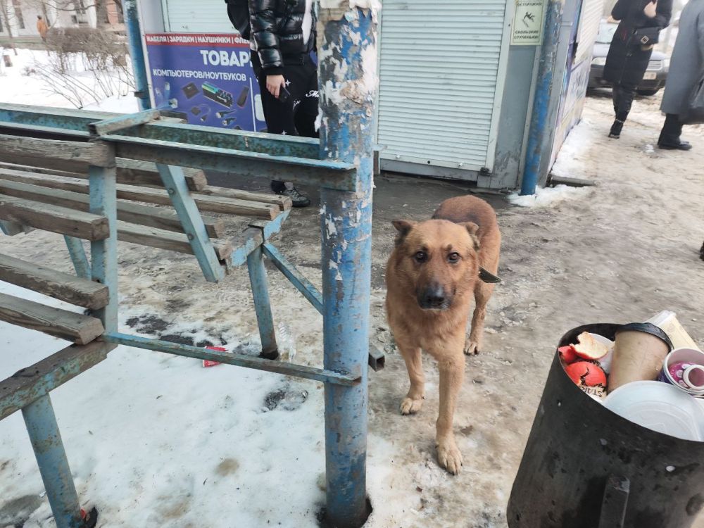 ���������� �������. ����� ������������ ����� ���� �������� ���������. ������� � ��������� ���� ������� �� ���������