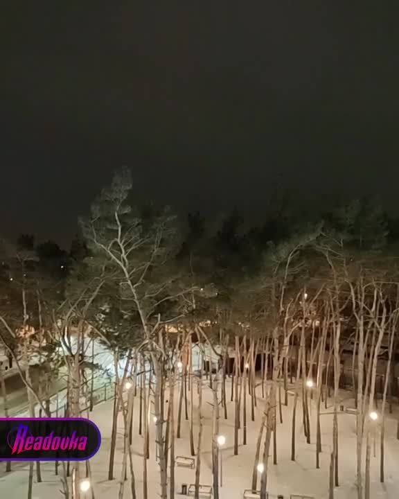 ��� �������� ����� �� ������� ����������� ���� � ���� �� ������������� �������� �����������