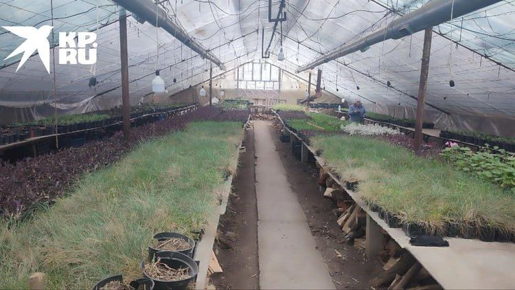 �� 2024 ��� � ���������� �������� ��������� � ��������������� �������� ������� ����� - � ������ �������� ������ ����� ��� ��� ������