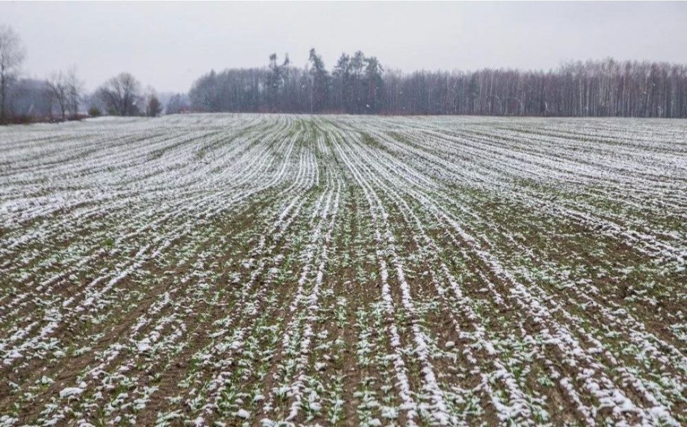 ������� ���������� ��������� � �������� � ��������� ������ �������