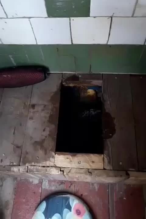 �������� �� ��� �������� ������� � "��� � �������"