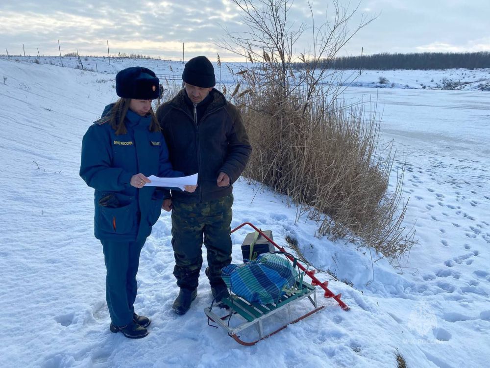 ������������ ��������� ���������� � �������� �� ���� ������������