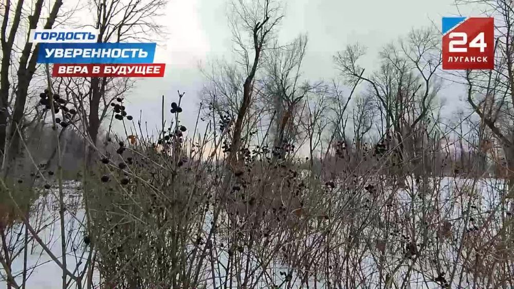 1111111. ���������� ������ 20-21 ������ 2024 ���� ���������� ������� ��������� �������� ���������� ������� ������� ������� � ����� ������ �����