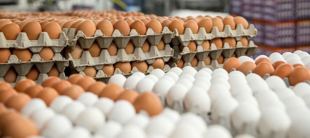 ���������� ���� � ��������� ��������� ������������ ��-�� ��������� ��� �� ���������