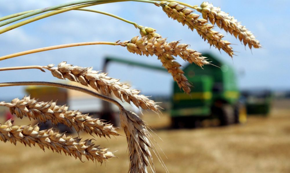 ����������� ���������, �������������� ������������ � ����� ������� �����