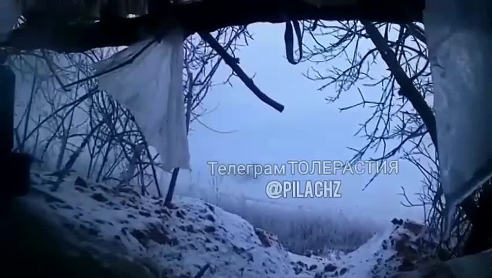 ���������� ���� ���� FPV-���� ��� ���������� �������