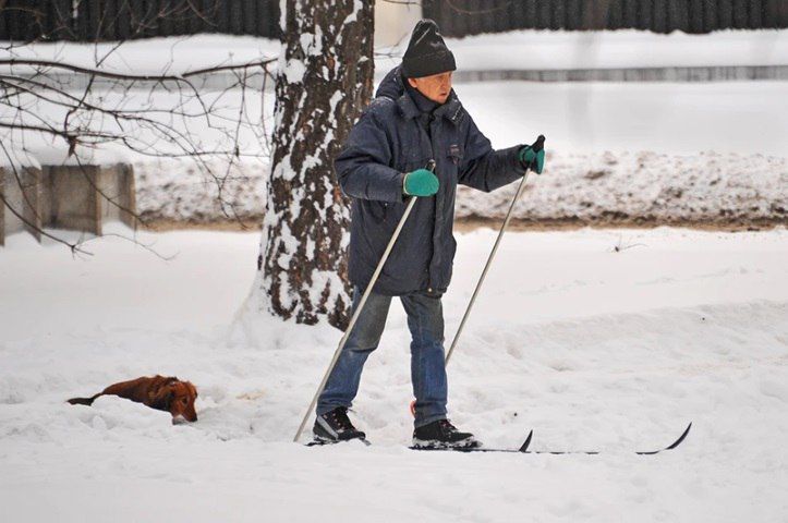 ������� ����������������: ��� ���������� � ��� ��������, ������ � ������� � 2024 ����