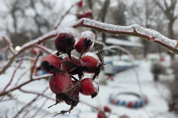 ��������� ���� � ������� ��������� � ��� 21 ������