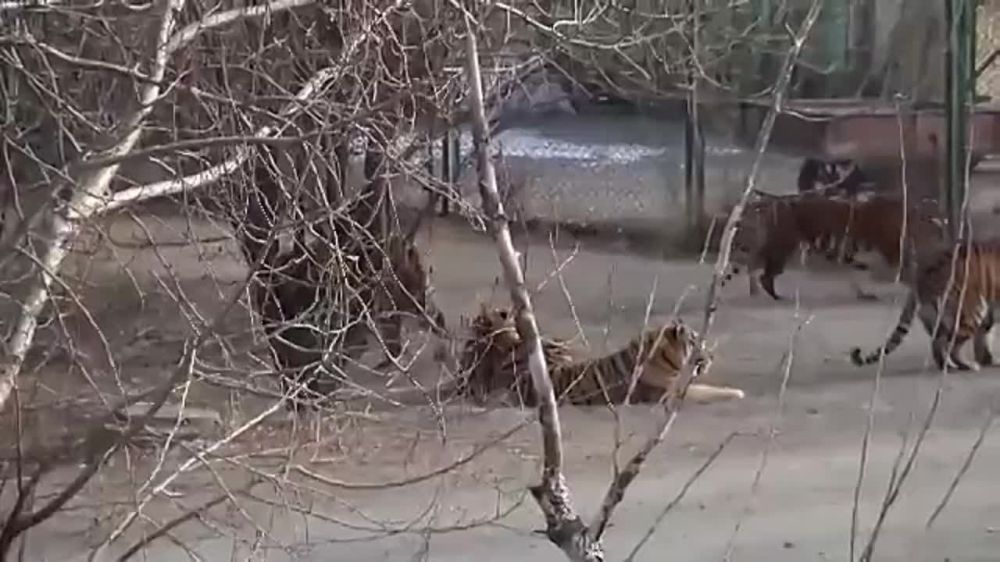 ��������� ������������� ����� ������!