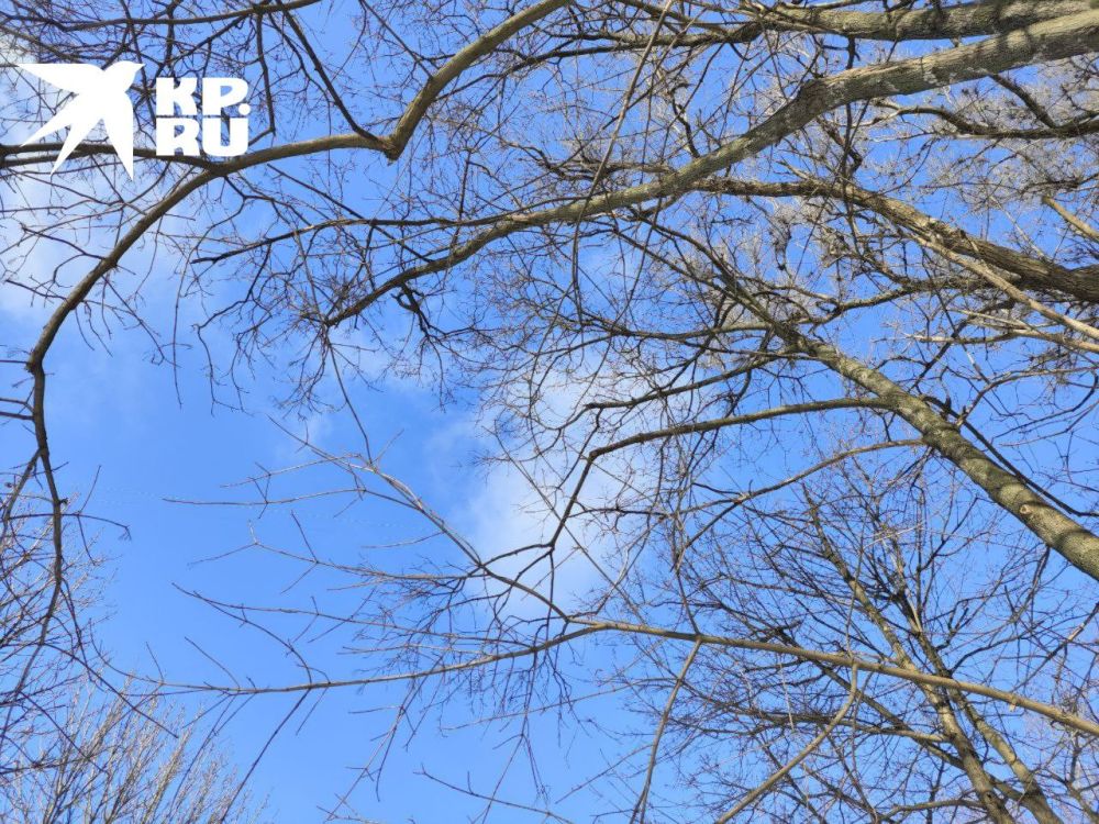 ��������� �������� ���� � ��������