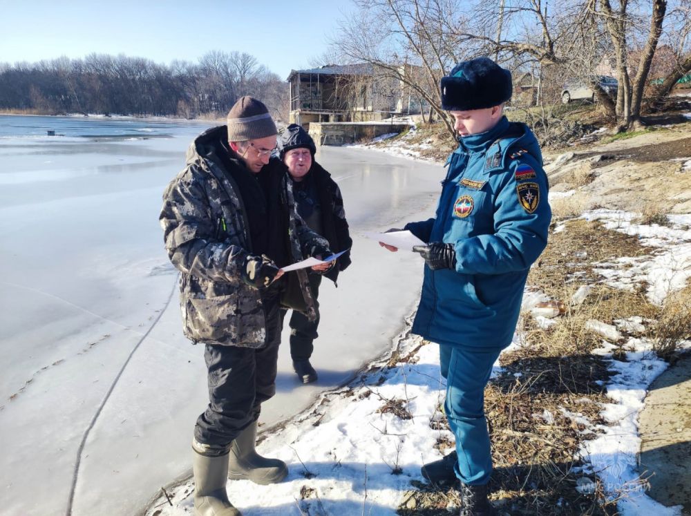 ����� ������� �������� ������