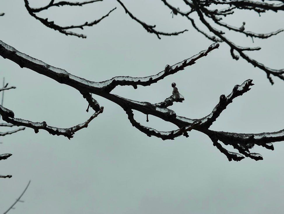 22 ������ � ��� �������� ������ � ������������� �����������