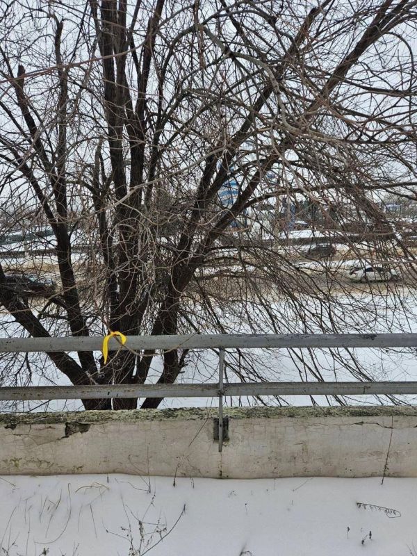 � �������� �������� ����� �������� ����