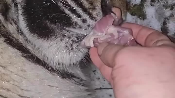 ����� �������� ����������. ����� � ��� - �������� �����