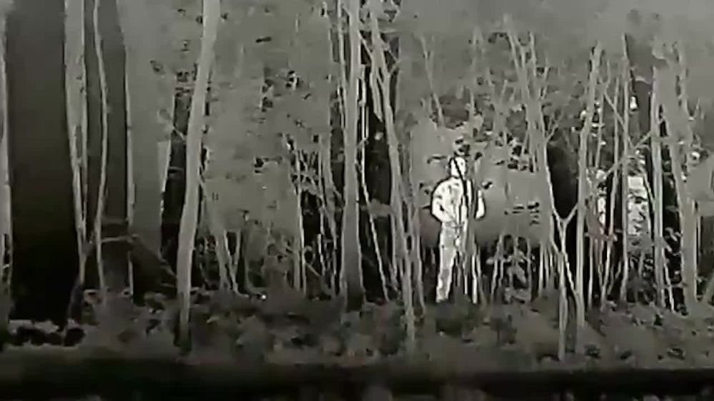 � ������ ����������� �����-���������