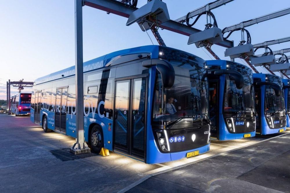 � 2024-� ���� � �������� �������� �����������