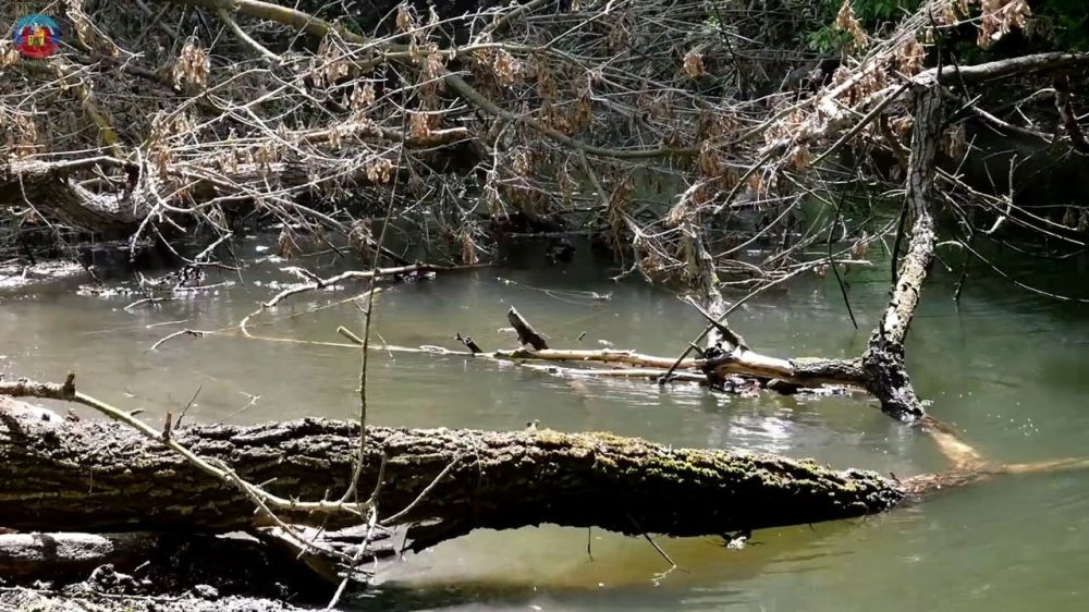 ����������� ��������� ������ �������� �������� �������� � ��������� �������� �����������, ����������� � ���������� �������� � 2024-2026 ����� 1,2 ���� ������ �� ��������� ����� ���, ������ ������ � ��������� �������������, �������� �����-������ ���������