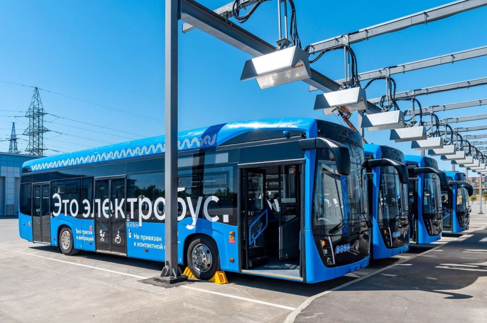 � ��������� �������� 2024 ���� � �������� �������� �����������