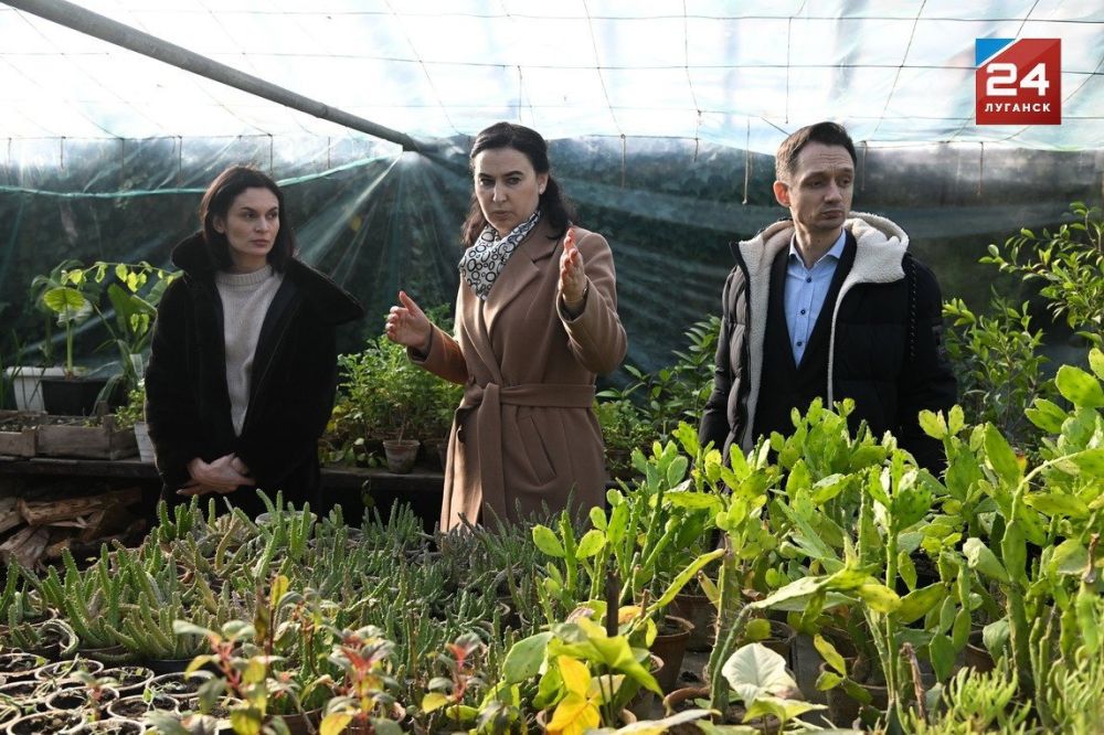 ��������� �������� �������� ��������� � ��������������� ��������� ������� ������� � ���������� ������ (������������)