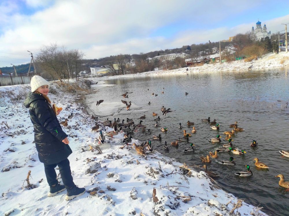 ��������������� ����������� ���������� �������������� � ����� ������ �����-2024�