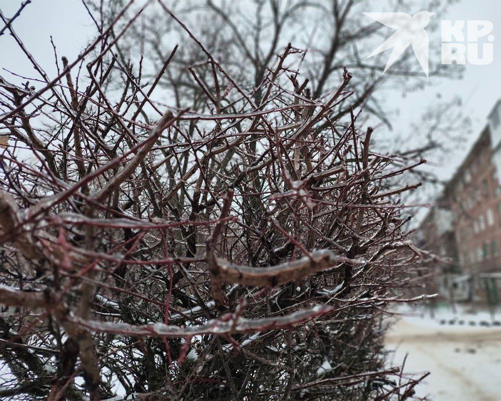 �������� � ���������� ��������� � ��� 24 ������