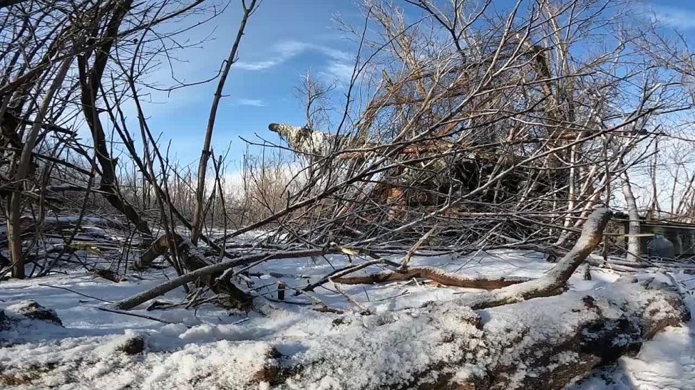 ���������� �� �� �������� ������������� �� ��������������� �����������