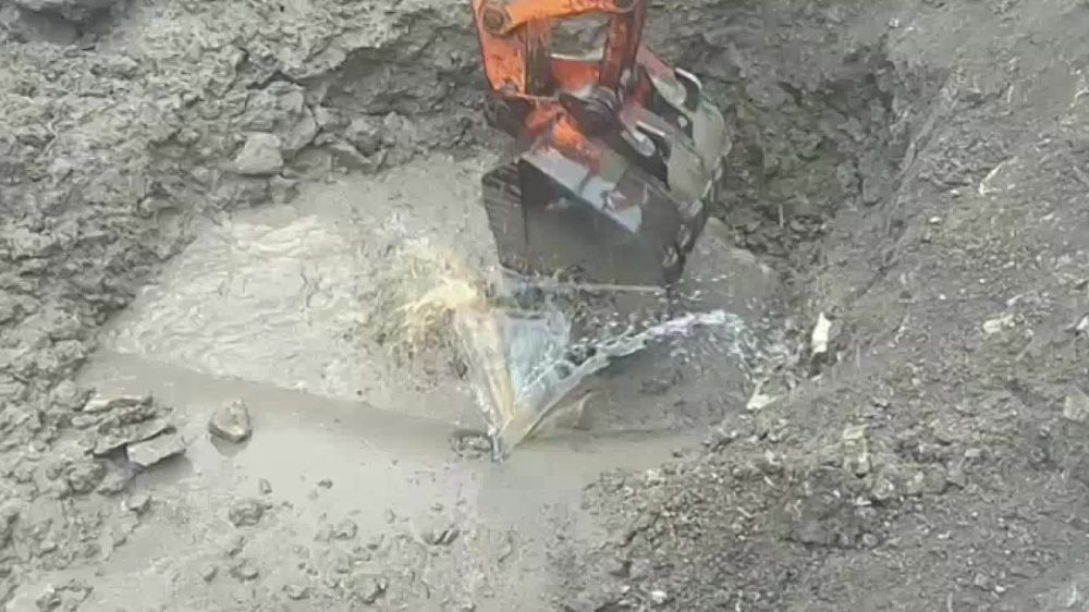 ����������� ���������� ���������� ����������� ��������� ������ �� ��������������� ������������� ��������, ������� �������� ���������� 1200 ��