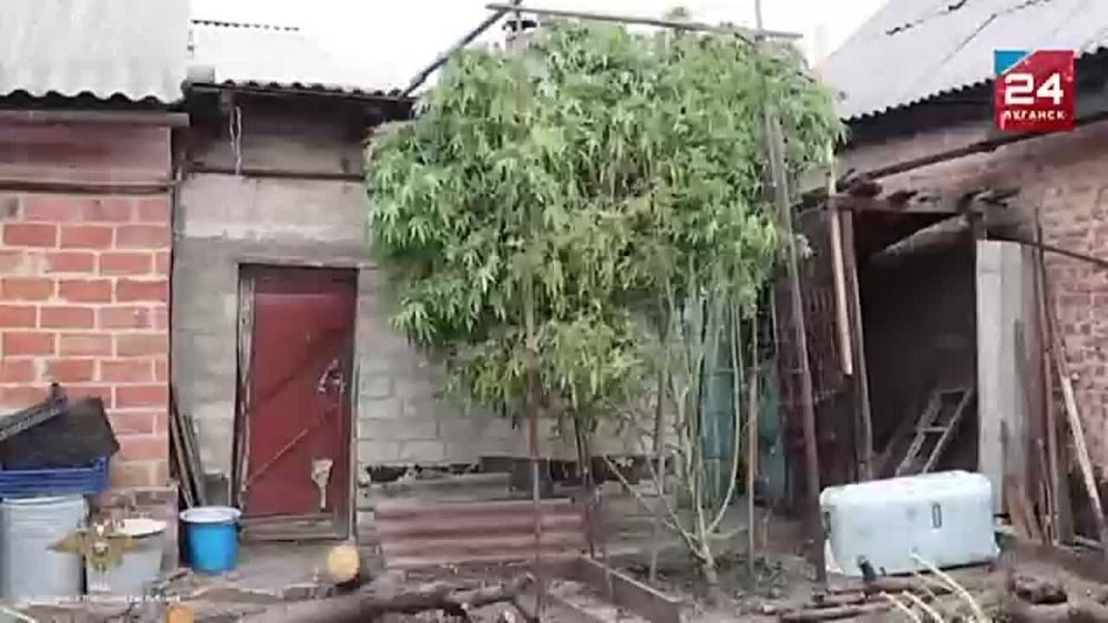 ����������� ��������� �� ������ 2023 ���� ���������� � ������������ ���������� ��� �� ��������� �������� ����������