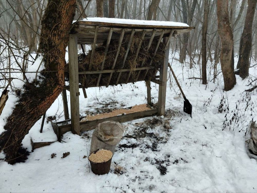 ��� ��� ����������� ������������� ��������� �������� ��������� ����� �������� � ������ ������, �������� � ���������� ���