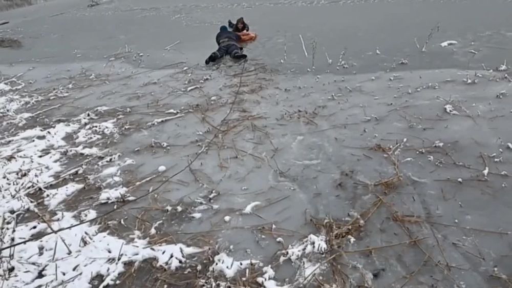 ����� �������� ��������, ������������� �������� ��� ��� � �. ������� ���