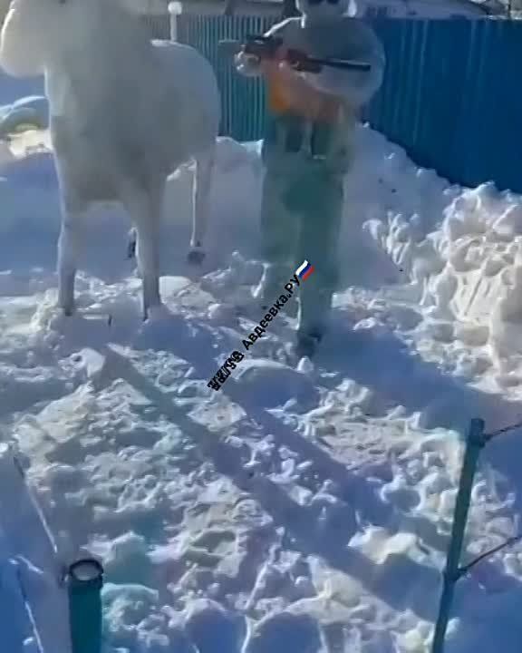 ������������ ���� � �������� ����� ������ ����� � ������!