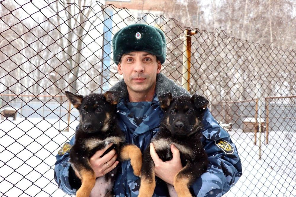 ���� ������ �������� ������� ������� ��������� ����� � ��� �� ���������� ��������� ���������� ������������� �� ����������� �������