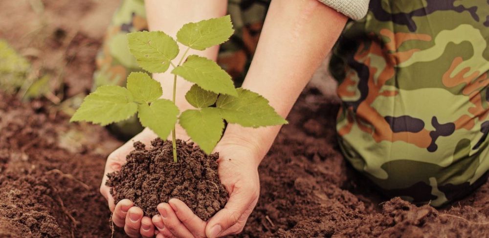 �������� ������������ ��� ������������� ������