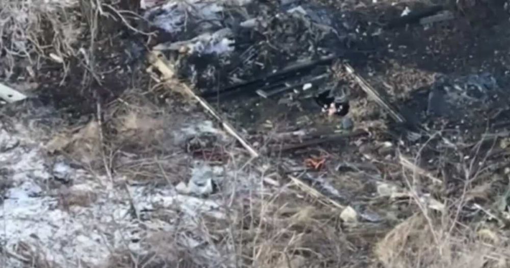 ���������� �������� ����� ����������� ������� ��� � ������ ��������