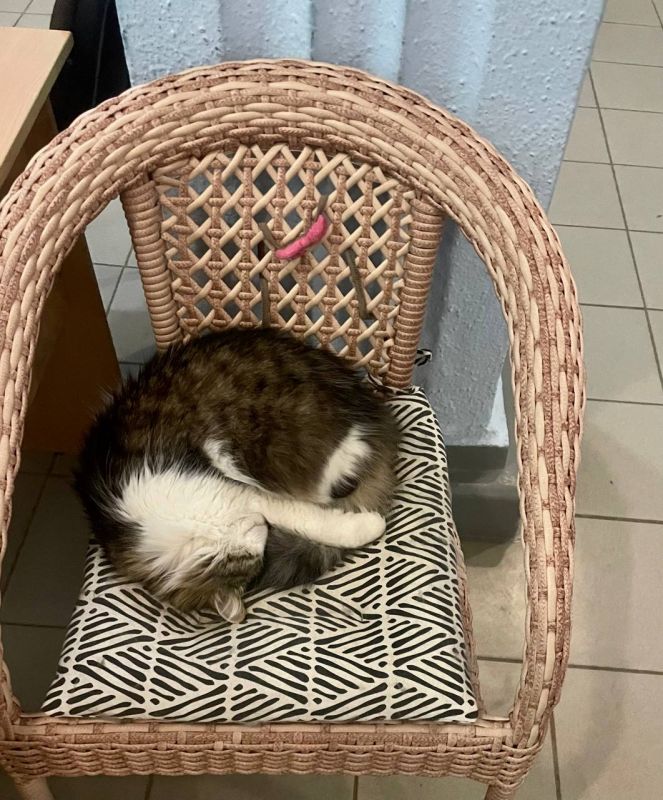 ����������� ���������� ������� ������-��������� ����������������� ������ ������ ������� ���� �������!