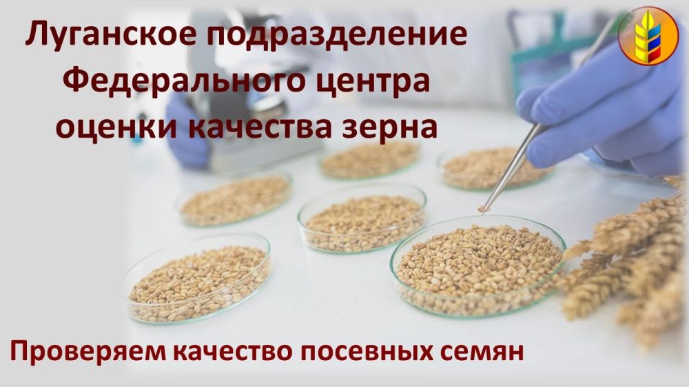 ���������� ����������� � �������� �������� �������� �����