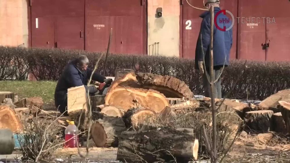 ��������� ��������������� �������������� ����������� ������������� � ������������� ����� "������ ����� �������"