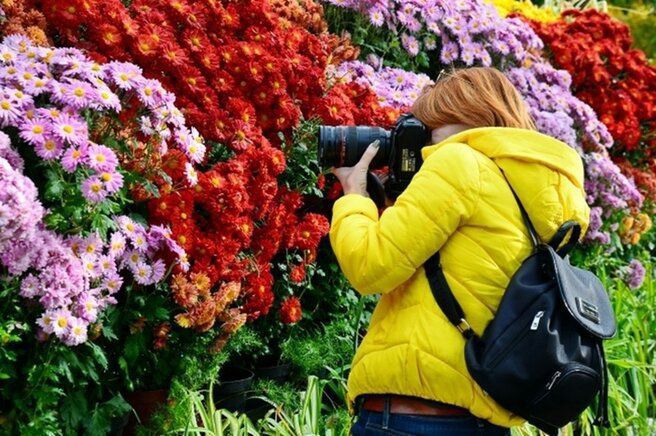 ��������� � ������������ �������� ���� ������������� ���� � ��������������� ������ �������� ������� ��������������� ���������� ������ ���������, �������� � ��������� �������������