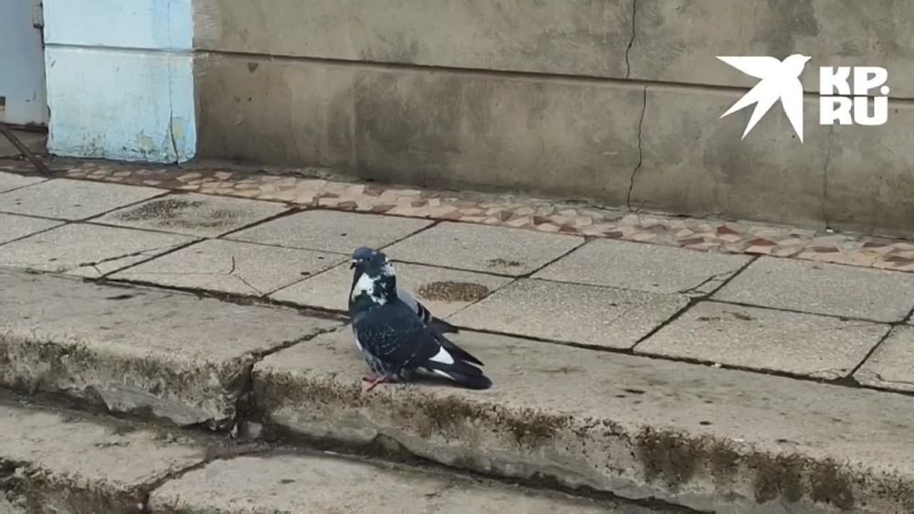 � � ���� ���� ����� ��� ��������