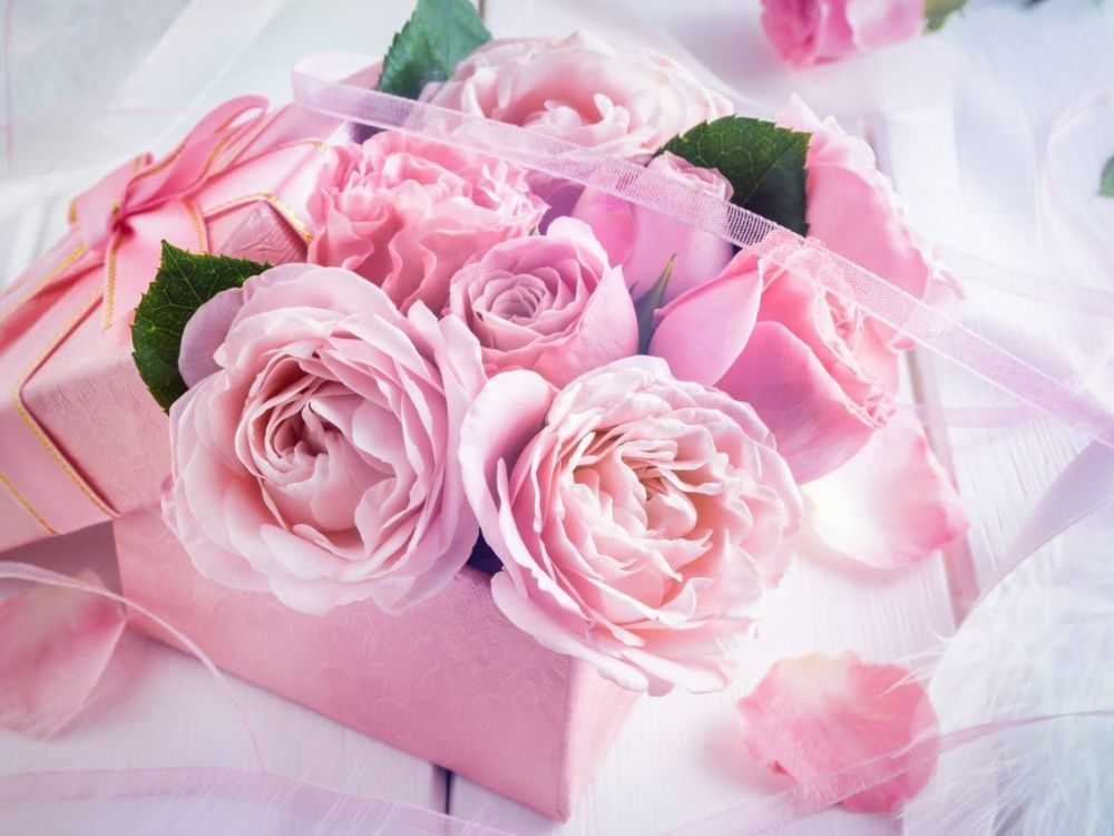 ��������� ���������� ����������� ������ �� ������������� � ��������������� ������� �� ��������� �������� ����������...