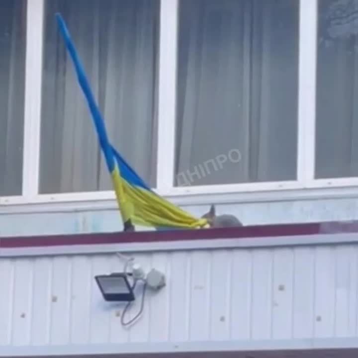 ����� ������ "00���" �� ������������� �������