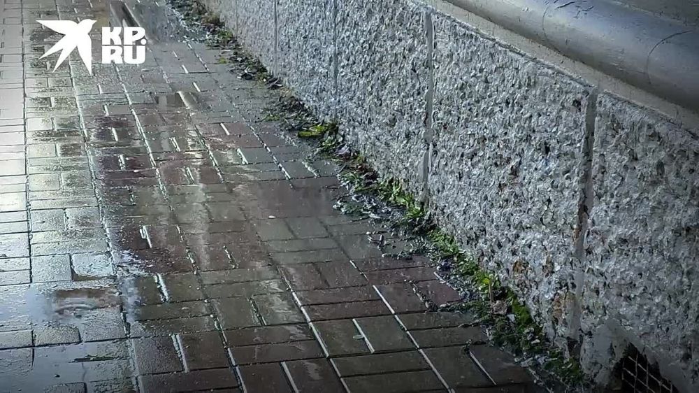 ����� ������ � ������ � ��������