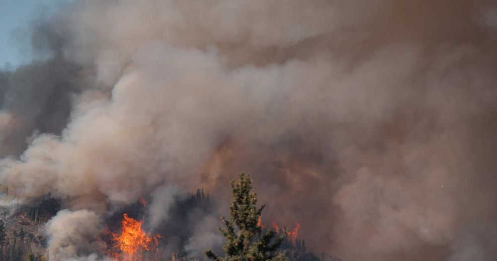 � ��� ����� ��������� � ���������� ����������� �������� ����� � ��������